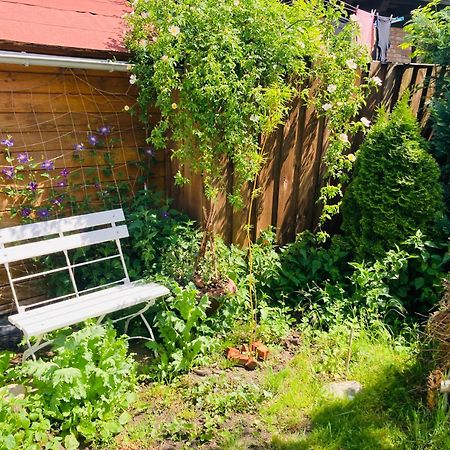 Ferienhaus Am Wasser Im Gruenen Zecherin Exteriér fotografie